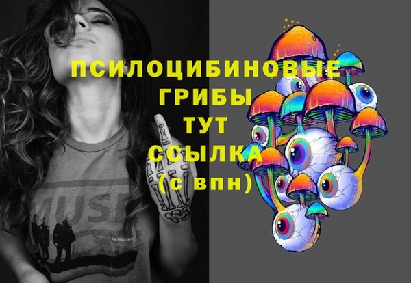 спайс Михайлов