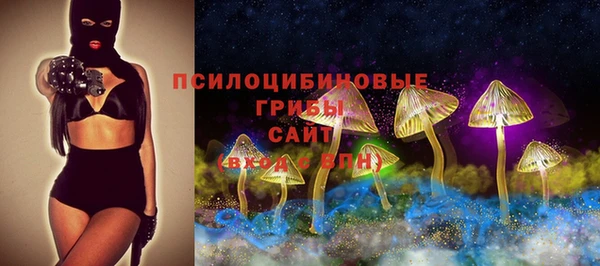 PSILOCYBIN Навашино