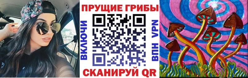 магазин    Мамоново  Псилоцибиновые грибы мицелий 